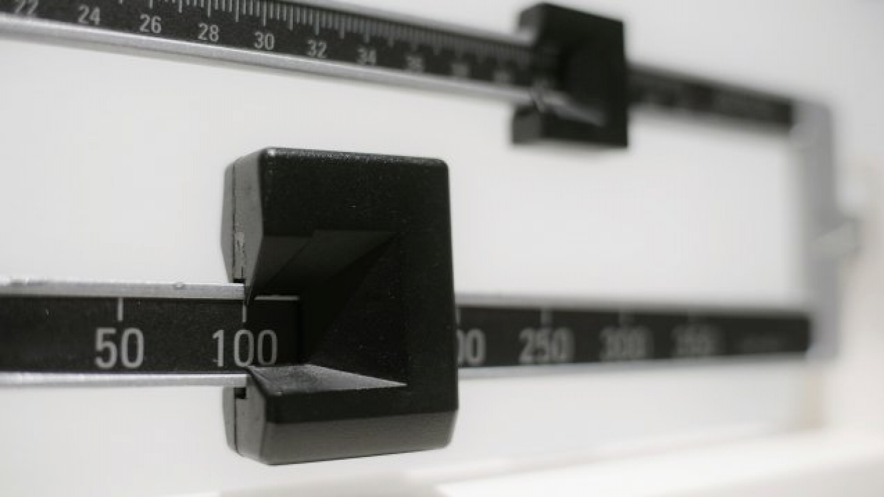 A scale is shown.