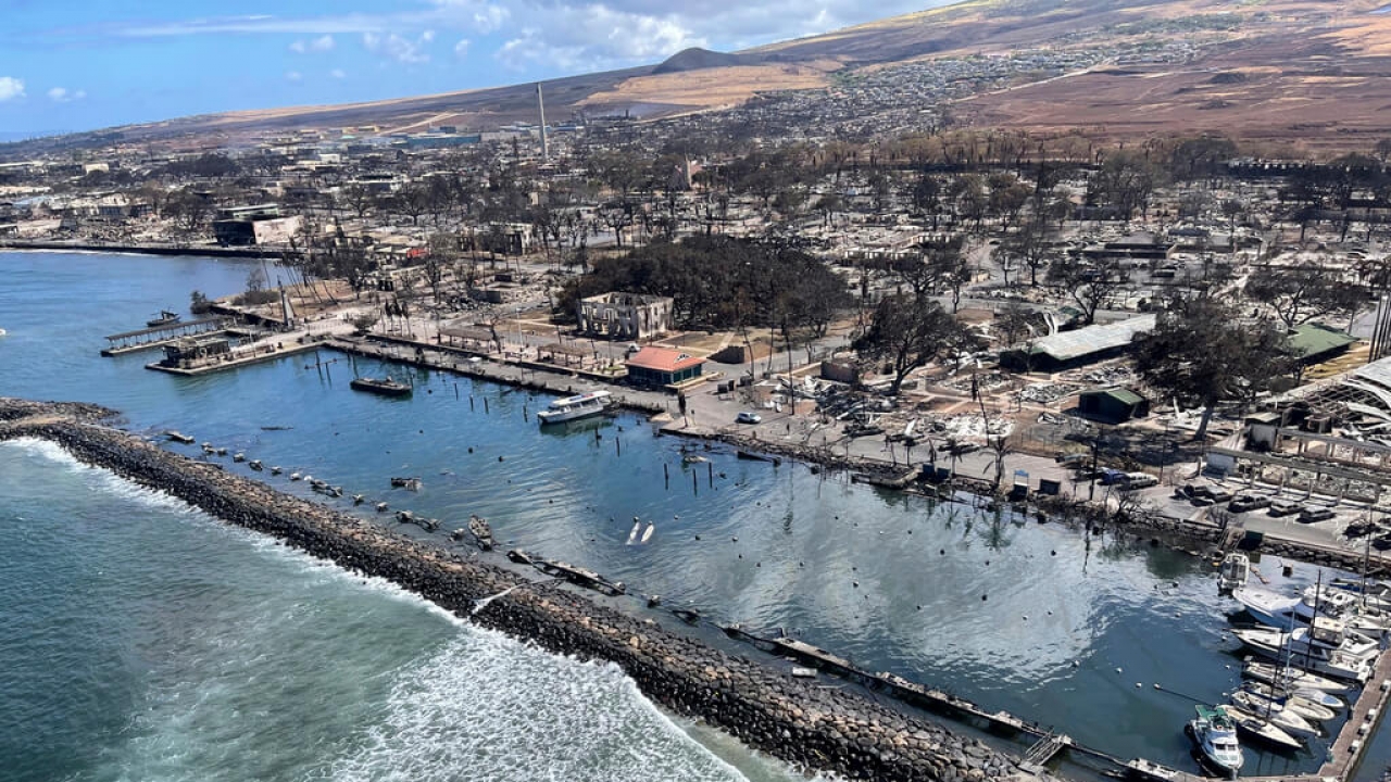 Burnt areas in Lahaina on the Maui island, Hawaii.