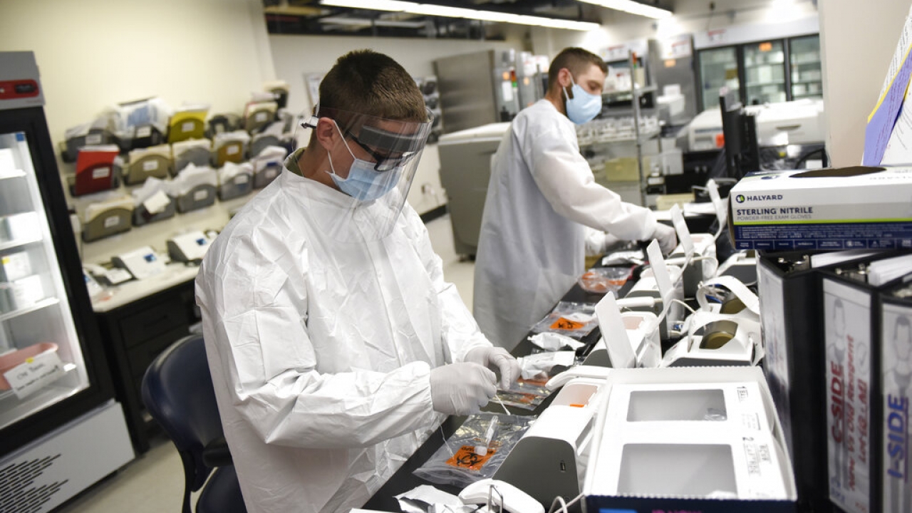 Workers in a medical lab