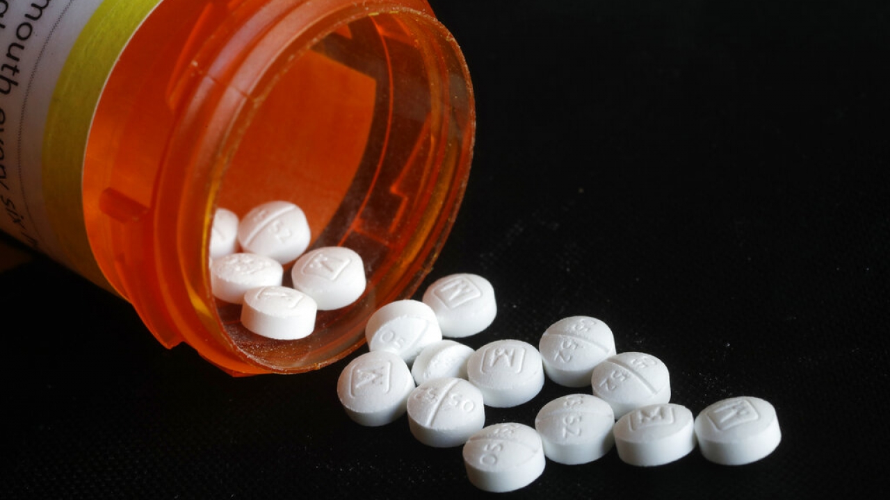 Photo shows an arrangement of prescription Oxycodone pills.