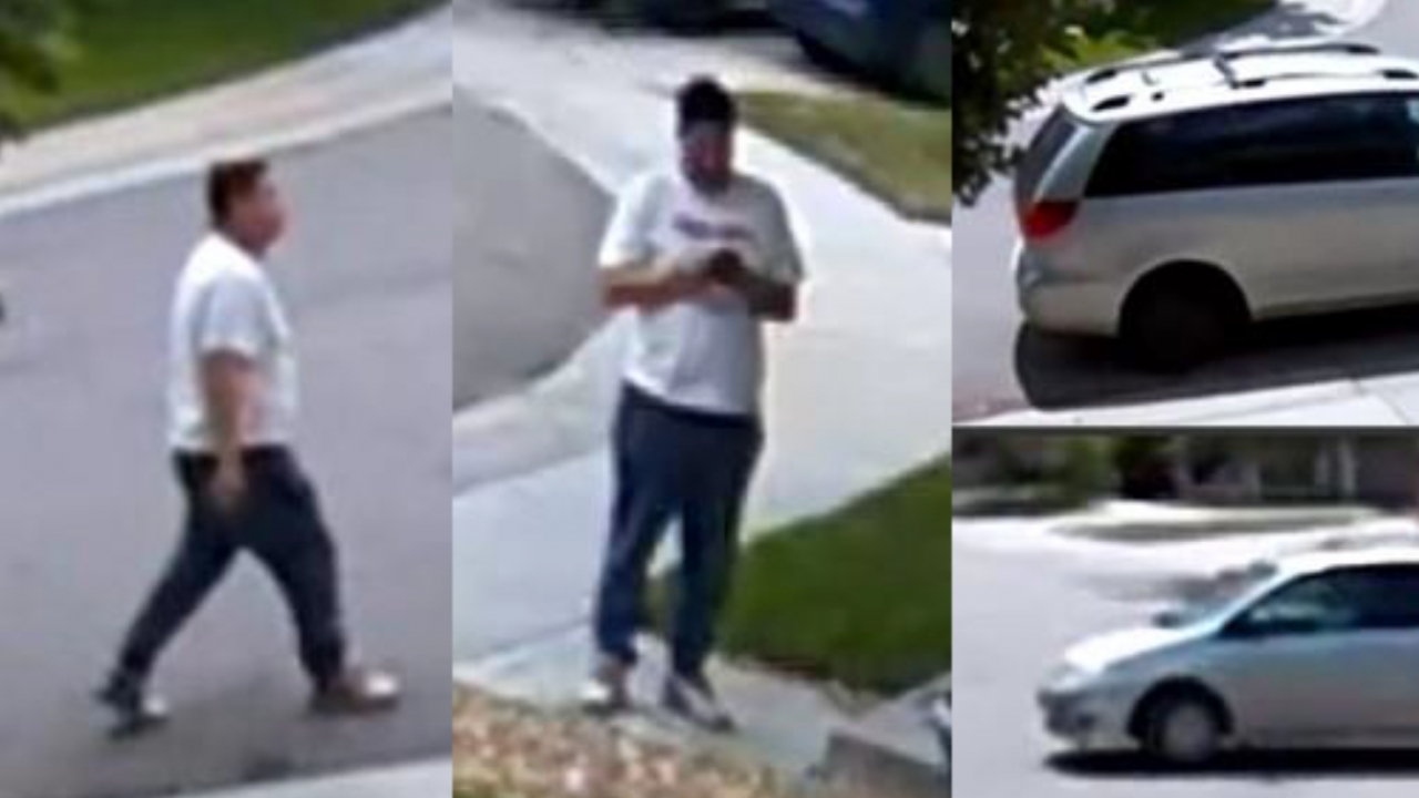Surveillance footage shows evidence of an alleged scam, and activity.
