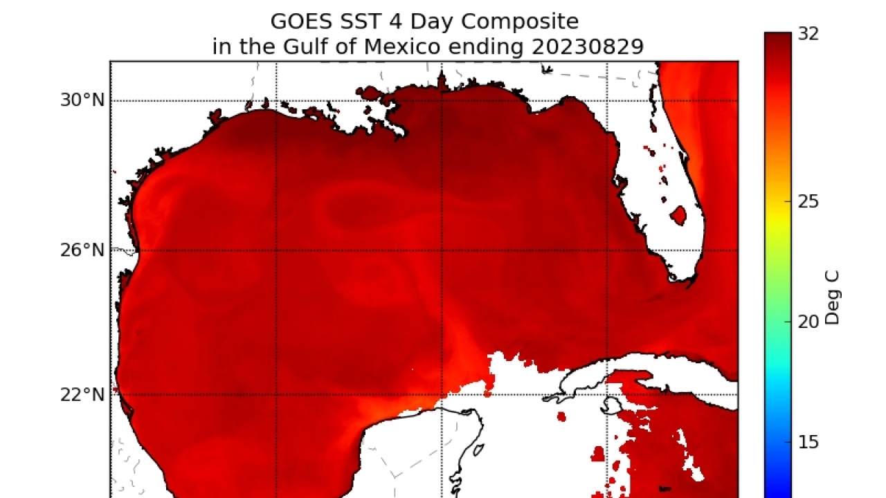 Sea surface temperatures in the Gulf of Mexico on Tuesday, Aug. 29, 2023