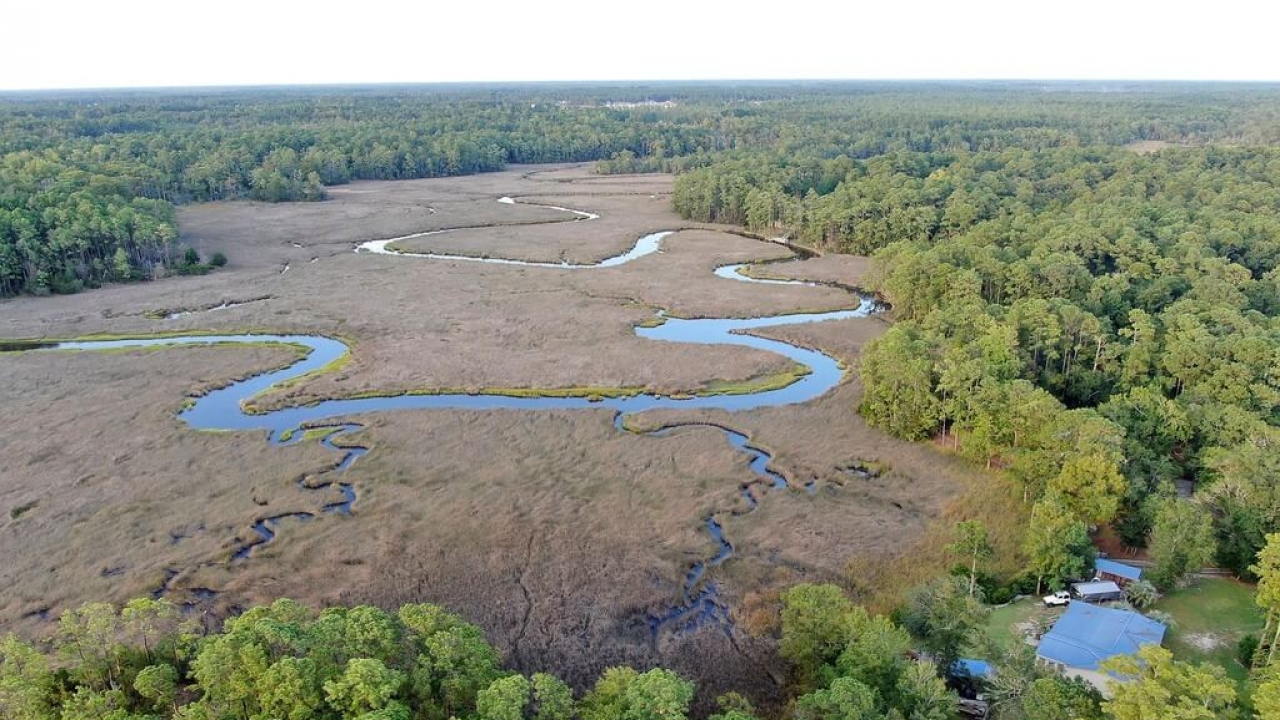 Wetlands in North Carolina
