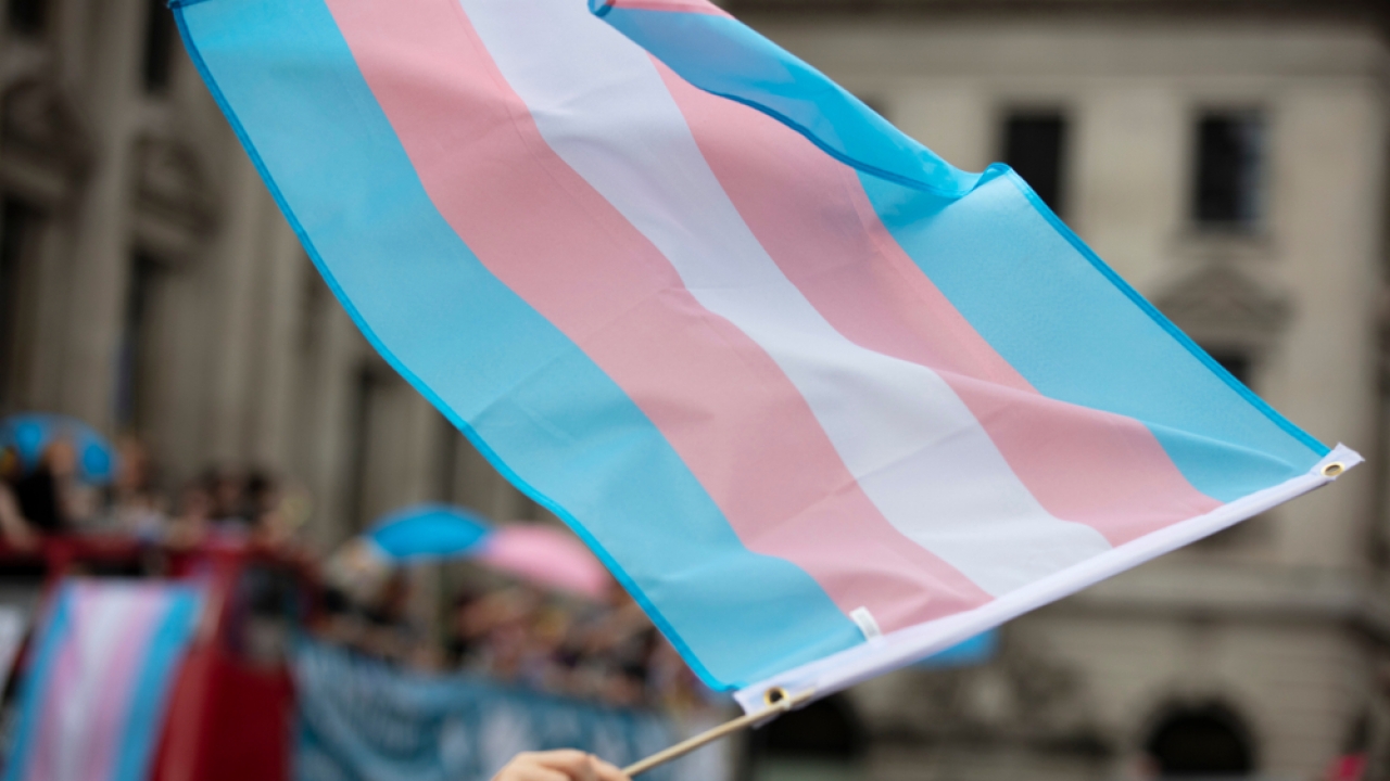 A flag that signals support for transgender rights being waved.