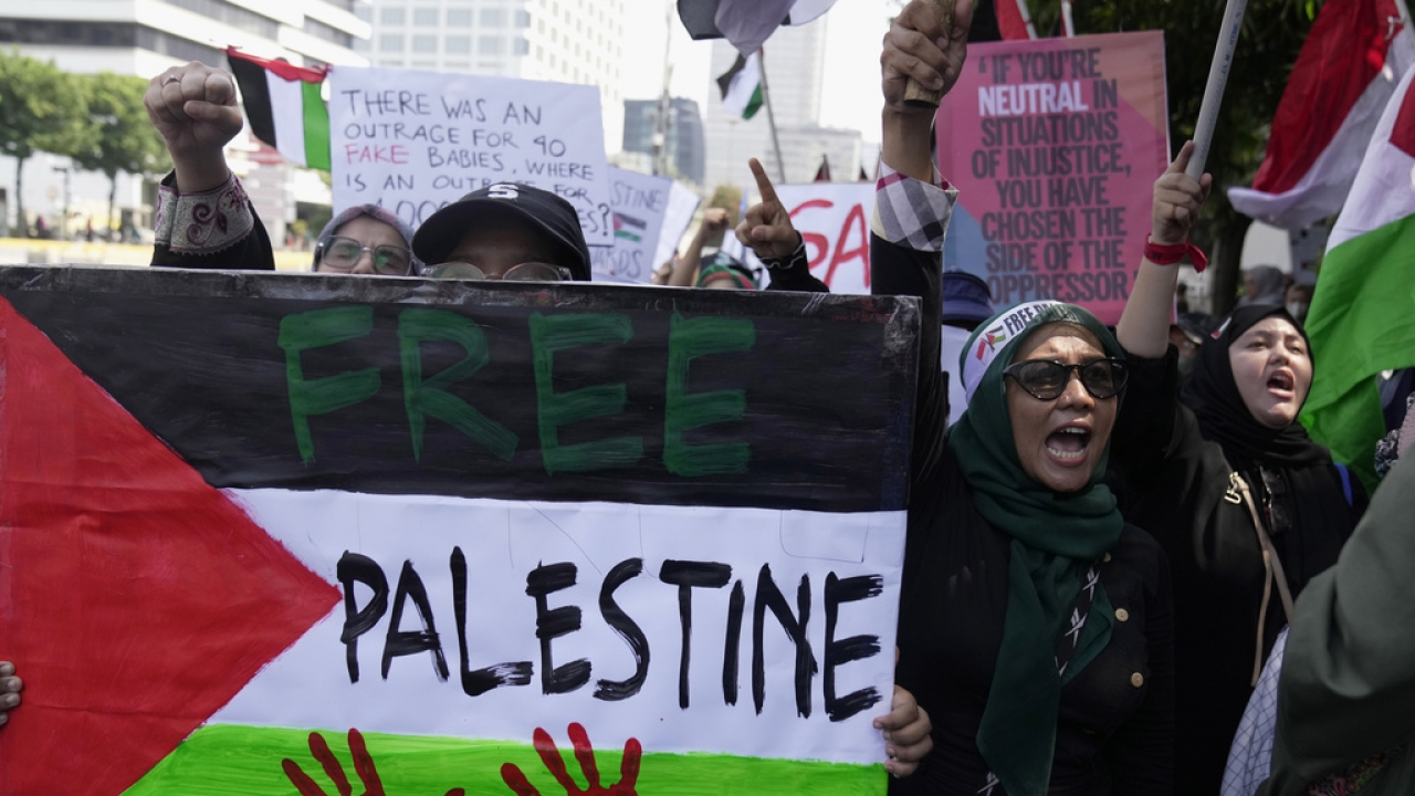 Protesters rally supporting the Palestinian people.