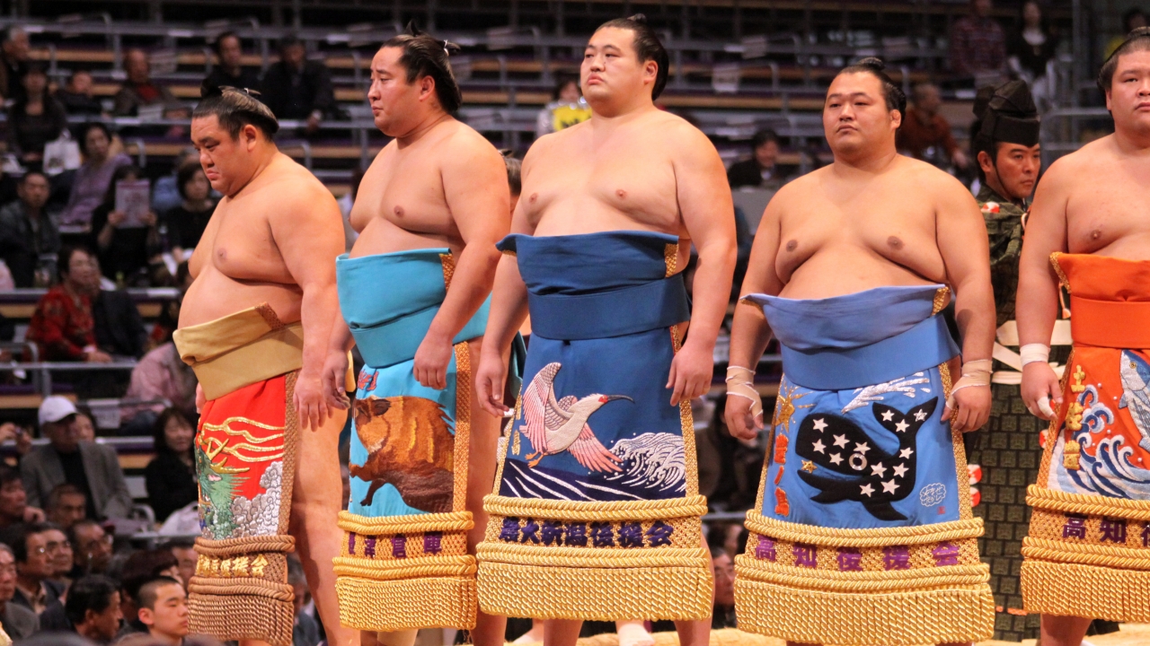 Sumo wrestlers at a competition