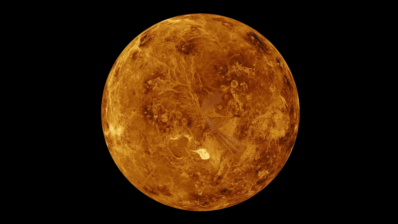 An image of the planet Venus made with data from the Magellan spacecraft and Pioneer Venus Orbiter.