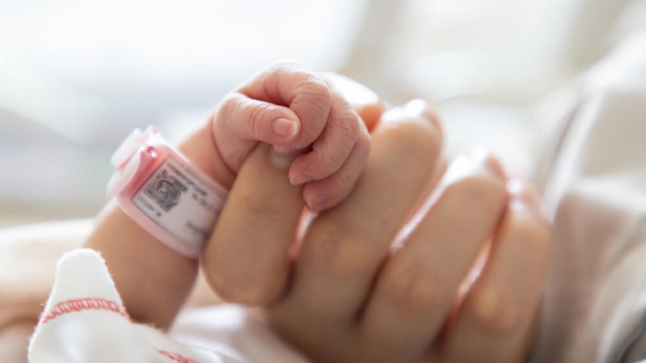 An adult holding a newborn baby hand.