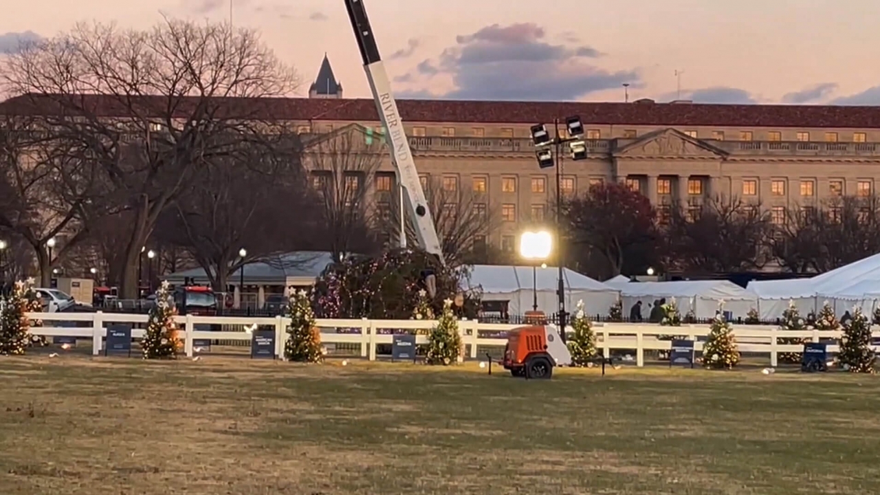 National Christmas Tree near the White House toppled by strong winds