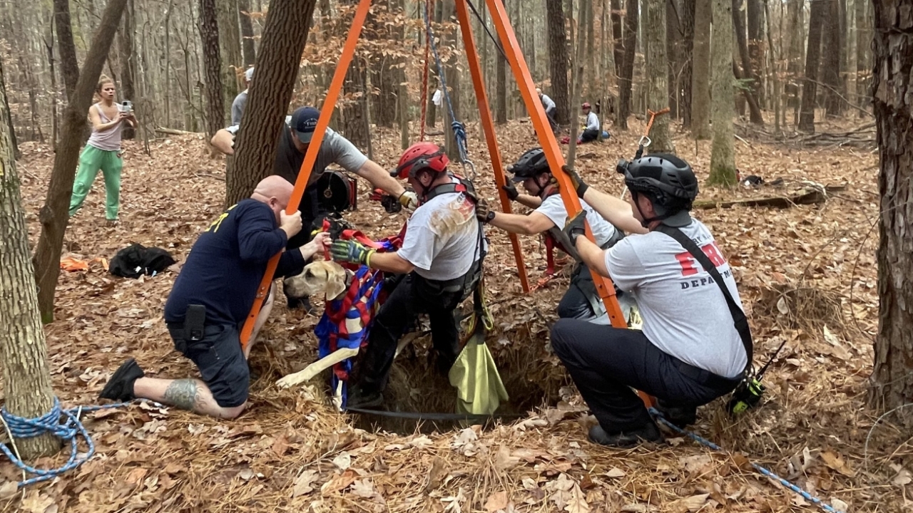 Mudge being rescued from a well in North Carolina.