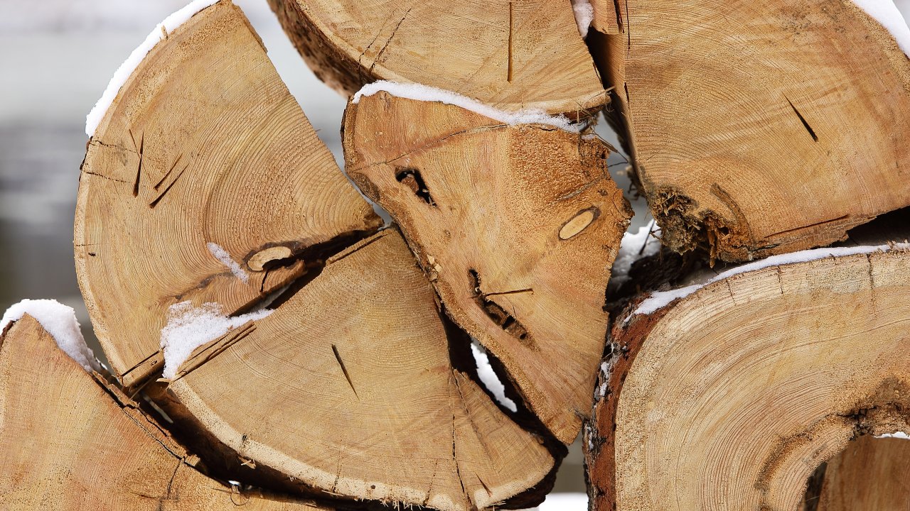 Firewood banks helping Americans who can't afford to heat their homes