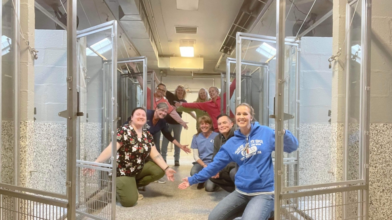 Staff of the Adams County SPCA show off an empty shelter.