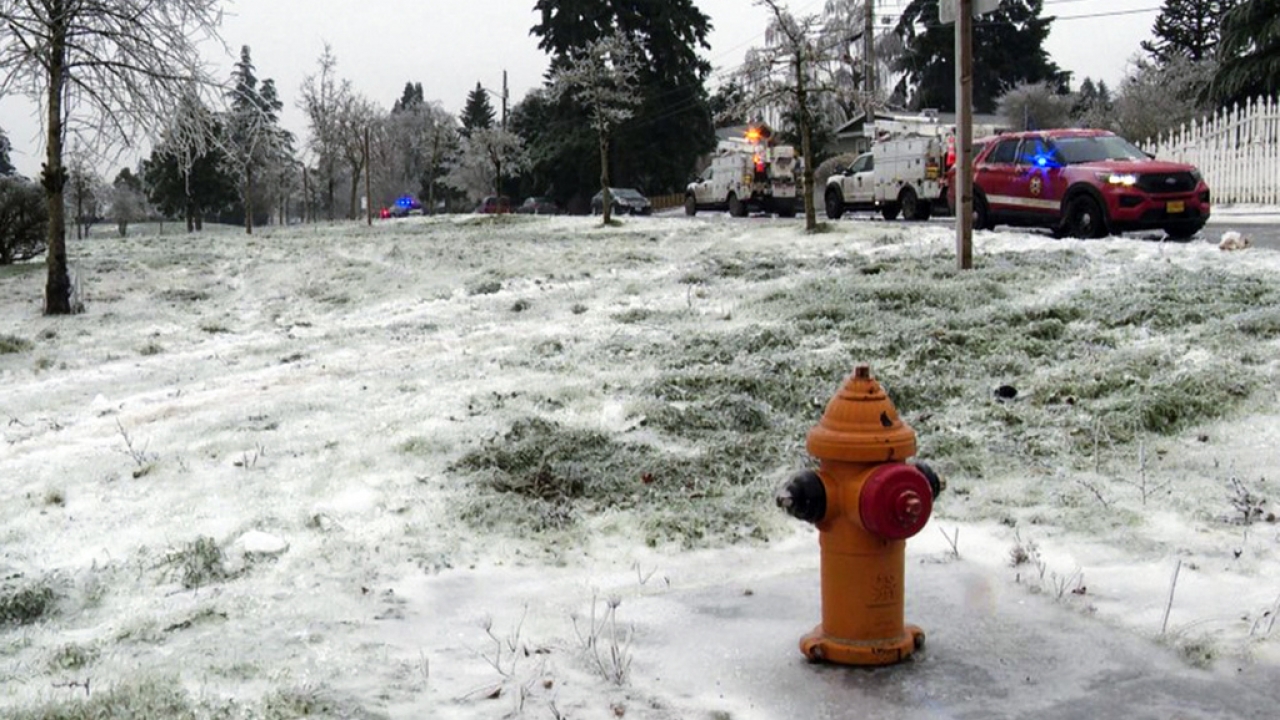 Authorities work the scene in Portland, Oregon, after a power line fell on a vehicle