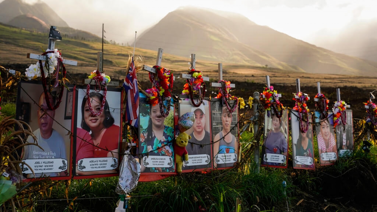 Photos of victims are displayed under white crosses at a memorial in Lahaina, Hawaii