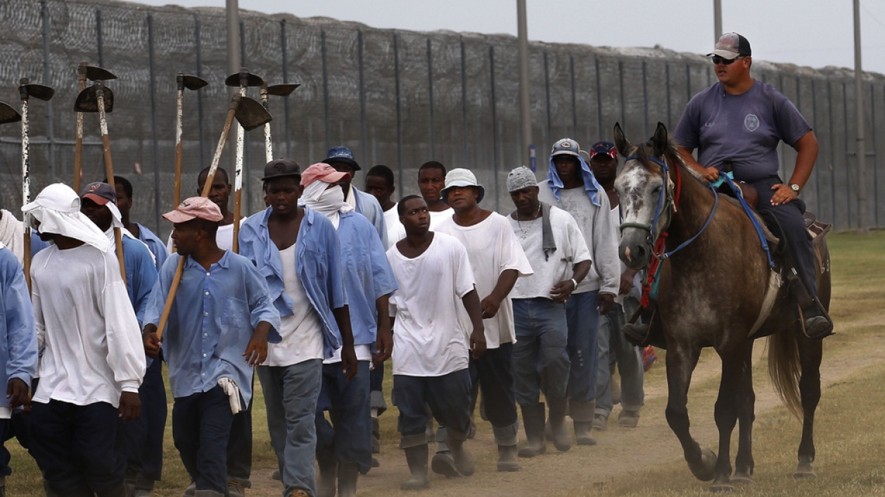 A prison guard rides a horse alongside prisoners as they return from farm work.