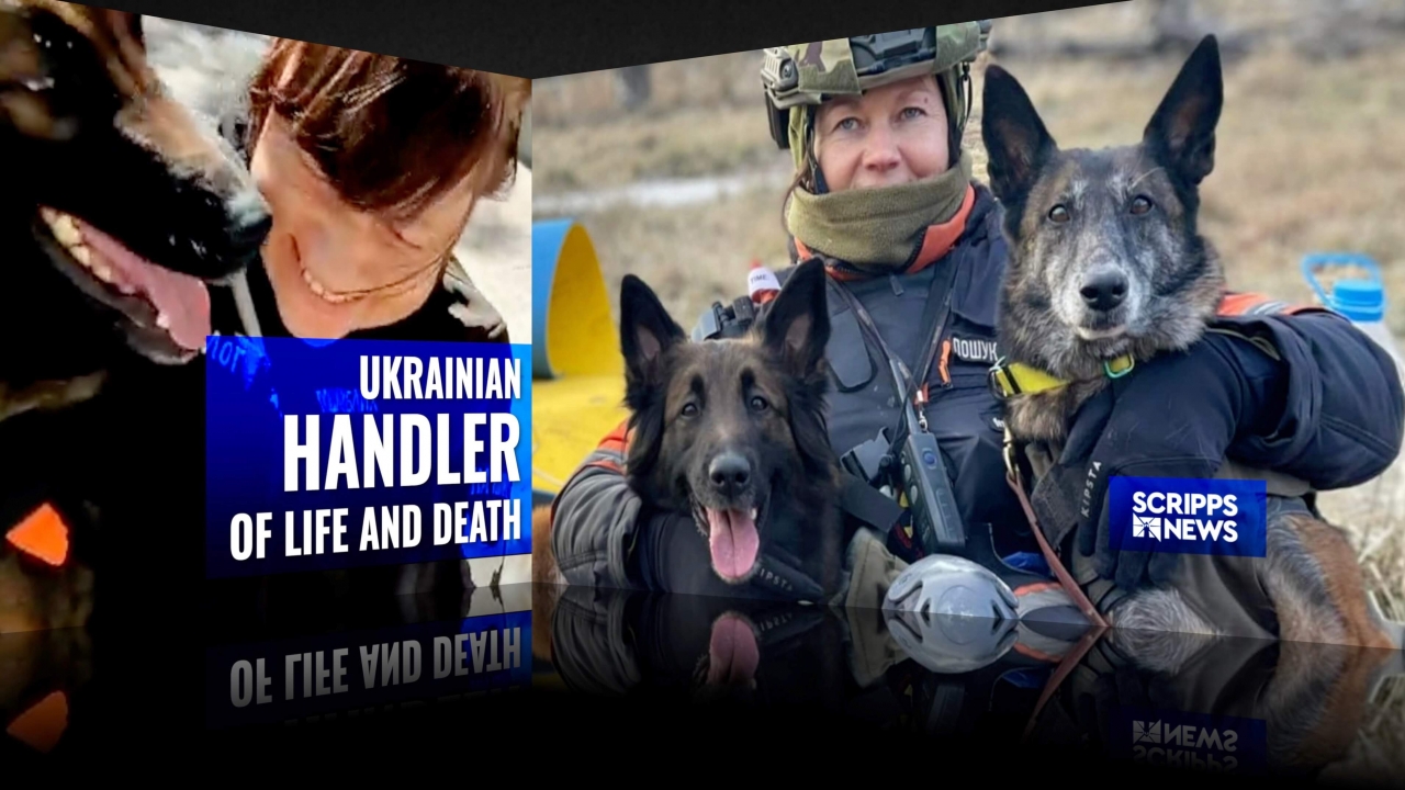 Meet the brave woman leading search dogs in war-torn Ukraine