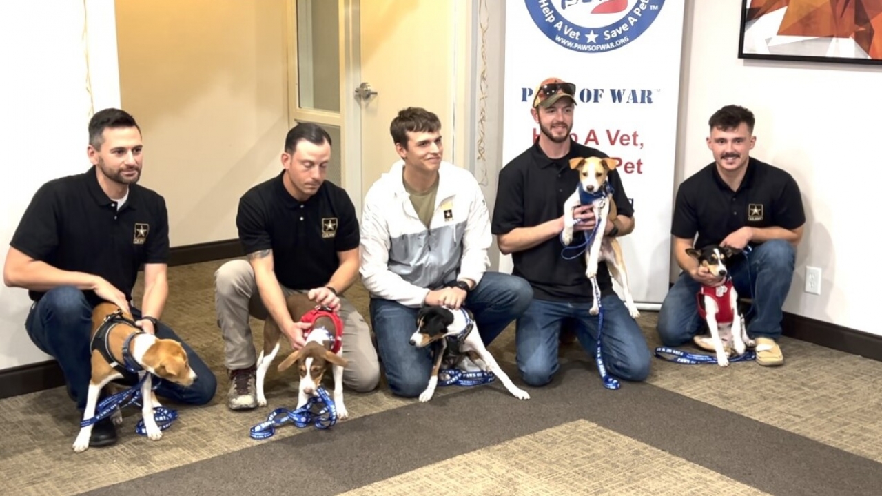 5 dogs reunited with Indiana soldiers who helped rescue them