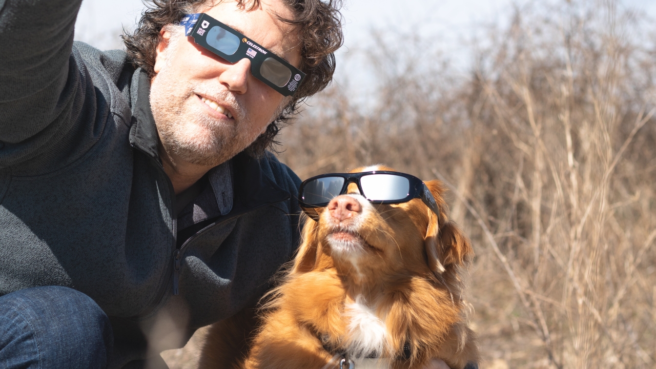 Is it safe for dogs to be outside during a solar eclipse?