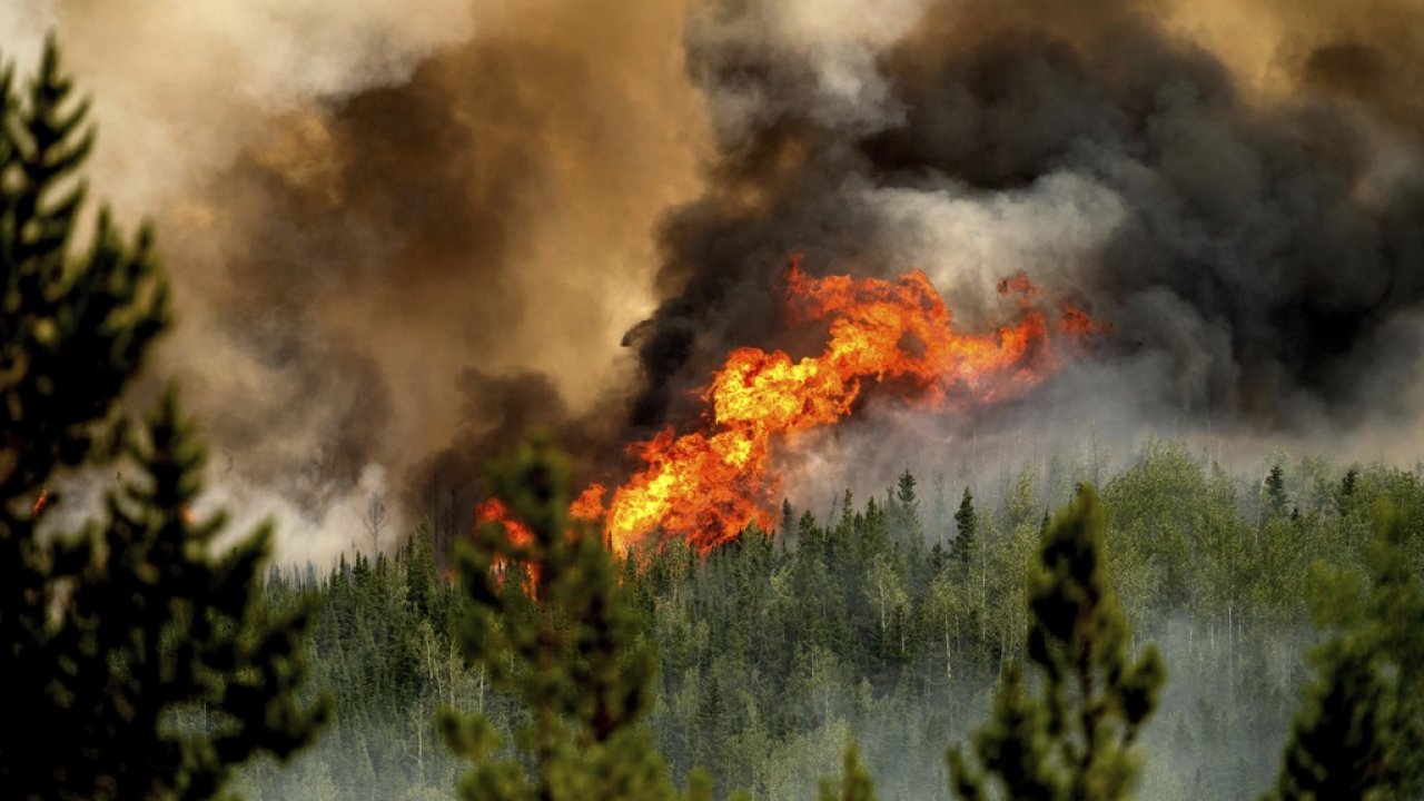 As climate warms, wildfires could make air more deadly, study says