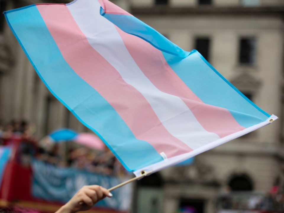 Transgender adults more satisfied after transitioning