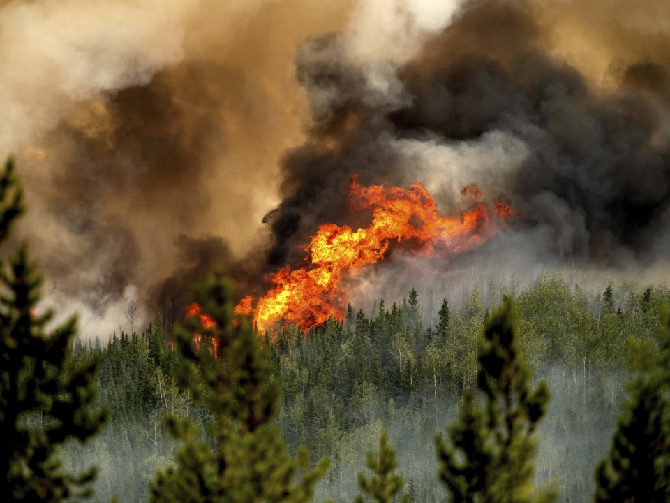 US and Canadian firefighters working together to tackle wildfires