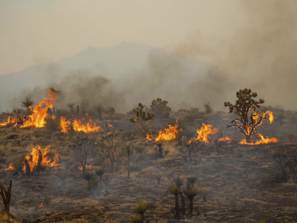 Prescribed burns are a valuable tool for wildfire prevention