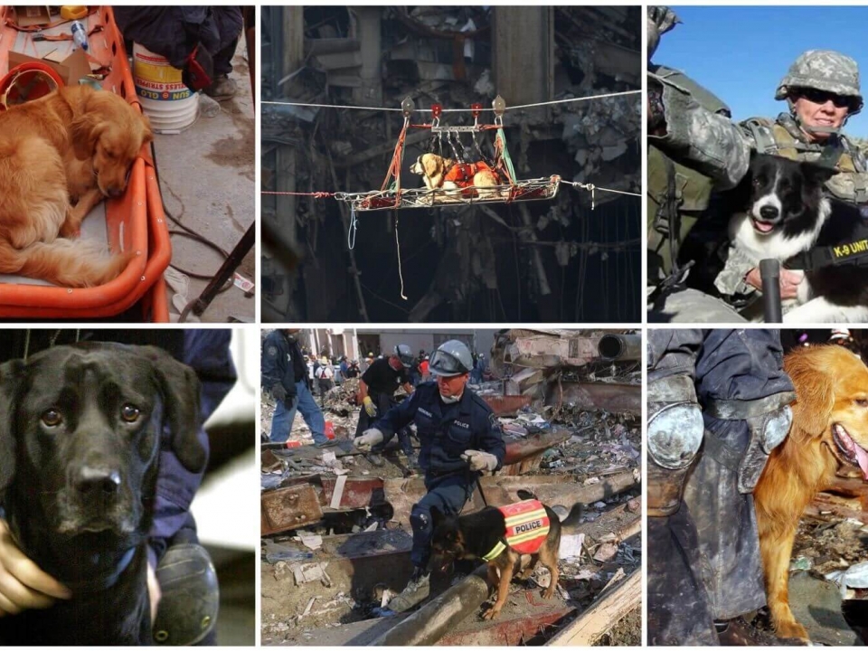 Remembering the 4-legged heroes of 9/11