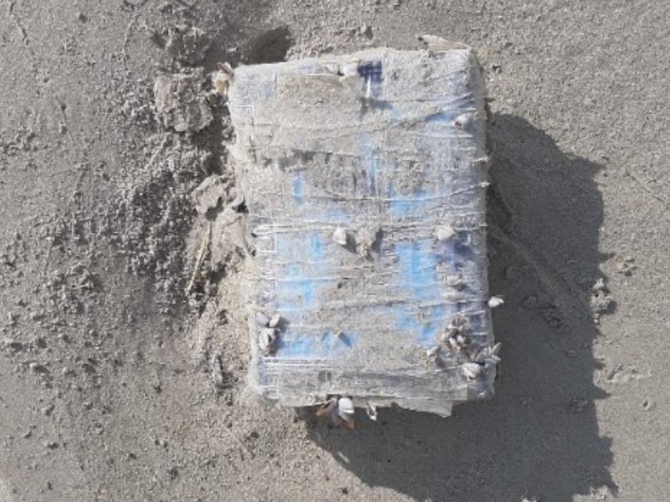 Bricks of cocaine wash ashore on a Texas beach