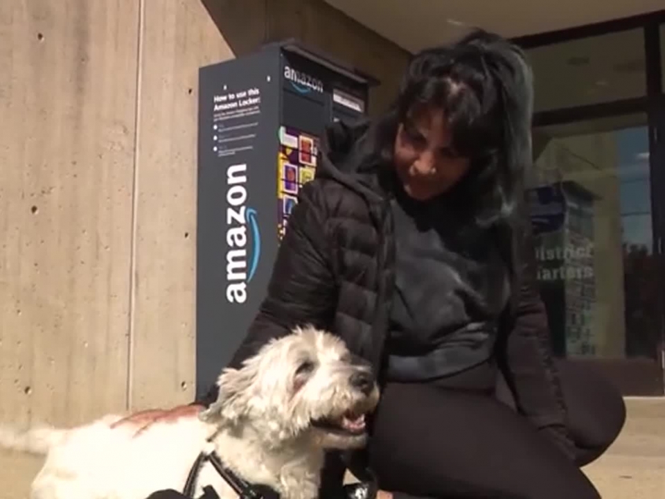 Dog reunited with owner after being stolen at gunpoint
